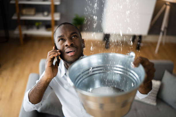 Best Water damage restoration near me  in Olney, IL